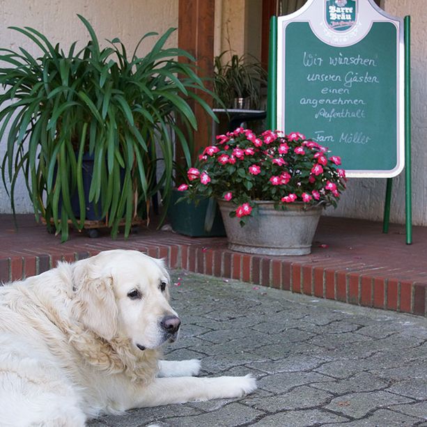 Pension und Landcafé Möller